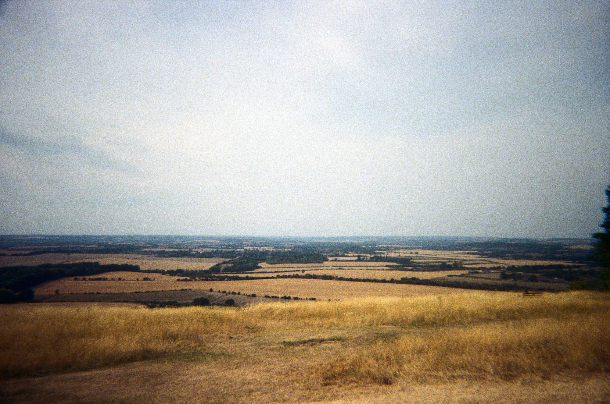 Looking over Dunstable Downs